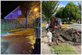 Straat loopt ’s nachts onder door lek, huizen zitten tijdlang zonder water: “We moesten er een boom verwijderen”