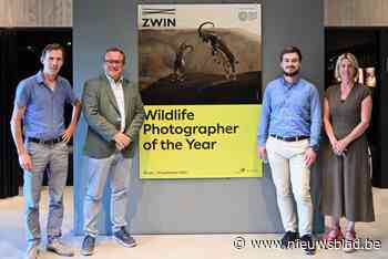 ‘Wildlife Photographer of the Year’ tot 29 september in het Zwin
