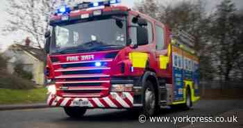 York: child stuck in tree in Water End rescued by fire crew