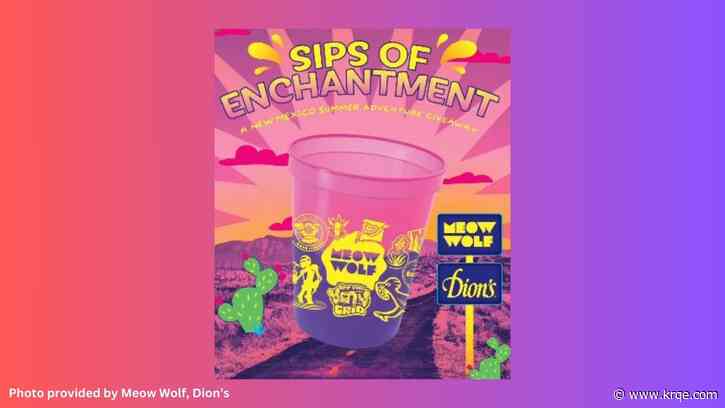 Meow Wolf, Dion's create new cup and hold contest
