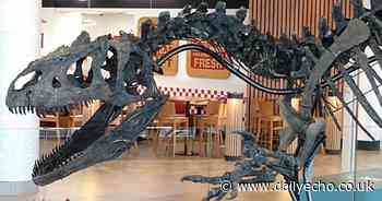 Dinosaur skeleton to be removed from Westquay in Southampton
