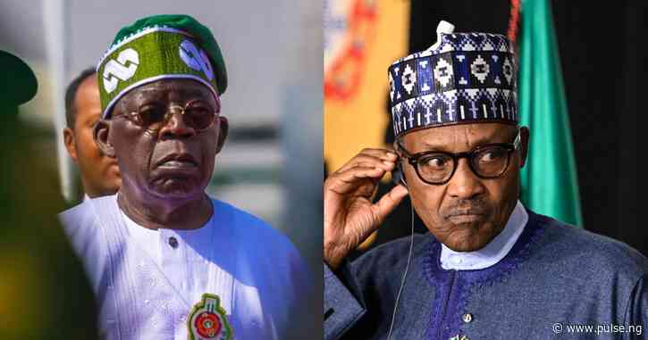 Ex-APC chieftain predicts loom for north - Blames Buhari, exonerates Tinubu