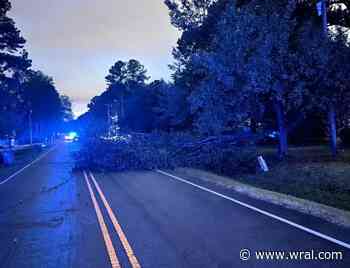 Tree down in Wake Forest; lightning strikes barn in Willow Springs, sparking fire