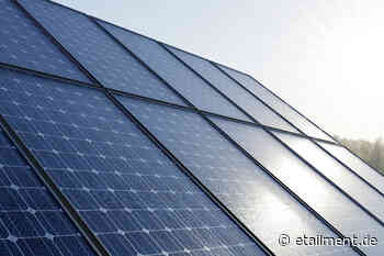 Nachhaltigkeit: Das Kraftwerk auf dem Firmendach