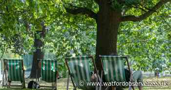 Watford weather: July heatwave 'likely' coming from Med