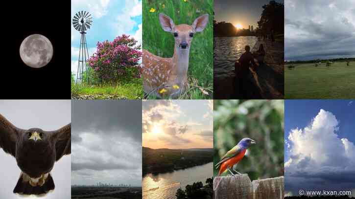 VOTE: Help us choose the best KXAN viewer photo of June 2024