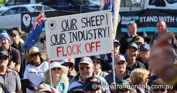 "Devastating": Live sheep trade ban bill passes Senate, ends industry