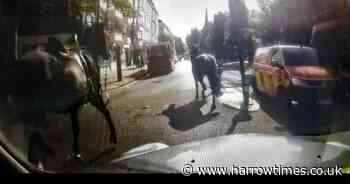 Military horses recovered after bolting through London streets