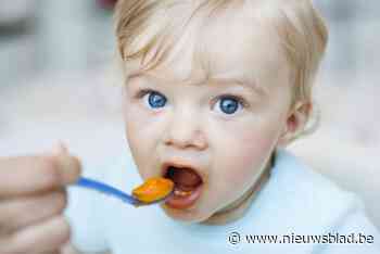 Nieuw onderzoek suggereert: baby voeden met lepel minder goed voor de ontwikkeling