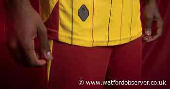 Reasons to be cheerful but Watford still need scrutiny