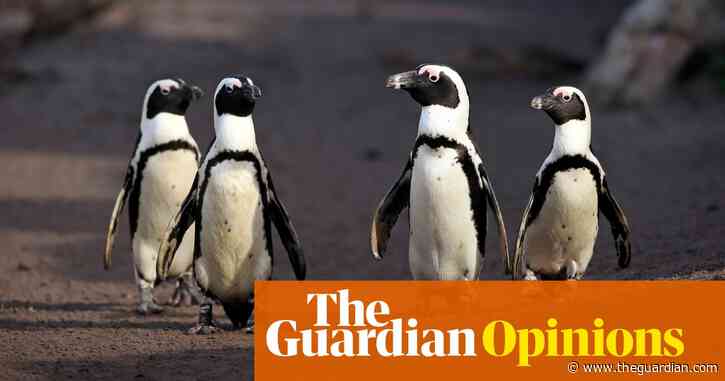 Scientists ignored 'gay' animals for years. When will we get over our human hang-ups about the natural world? | Elle Hunt