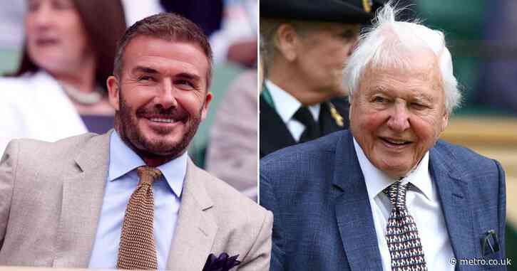 Sir David Attenborough, 98, looks sprightly as he beams alongside David Beckham at Wimbledon