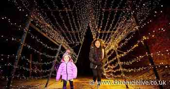 Alnwick Garden Winter Light Trail and Lilidorei Christmas tickets on sale with another sell-out year expected