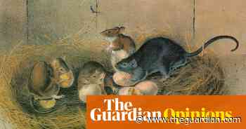 A rat: ‘We can no longer live as rats: we know too much’