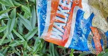 Walkers crisp packet dating back almost 30 years found lying in bushes