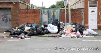 The state of Cardiff's streets as six tonnes of rubbish collected after students move out