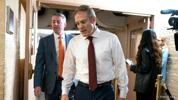Jim Jordan calls on left to 'uphold democratic norms' after Trump immunity decision
