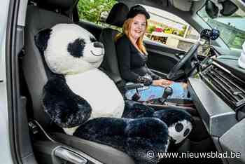Zij is de échte panda van PXL: Jan Cloesen is zot van Panda’s en werkt op PXL, waar het dier de mascotte is