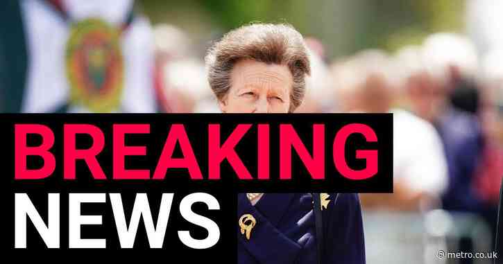 Princess Anne speaks out for first time after harrowing horse accident