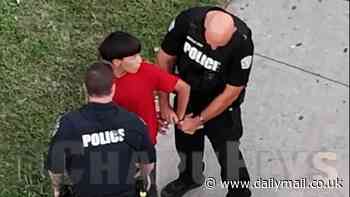 Shocking moment vigilante drone operator captures drug bust on camera - before Austin cops swoop in