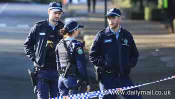 University of Sydney reported stabbing: Twist as boy, 14, is arrested after man, 22, was allegedly stabbed