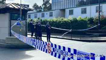 Counter terrorism police are called in after 14-year-old boy allegedly stabs a student at University of Sydney