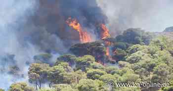 Waldbrände in Griechenland: Wo brennt es gerade? Sind Urlaubsorte betroffen?