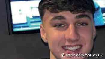 Missing Jay Slater's family are being targeted with fake 'ransom demands' after search for teen was called off by police - as young holidaymakers in Tenerife tell of their safety concerns on island