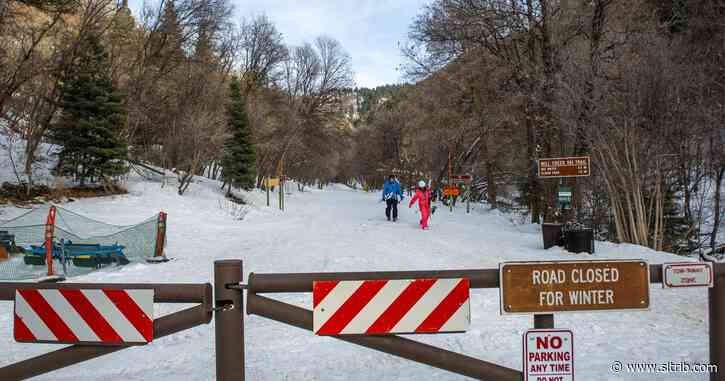 When will upper Mill Creek Canyon open to cars for the summer?