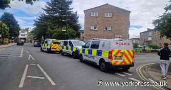 York: Armed police in Hope Street after 'dog attack'