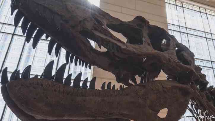 'What's your favorite dinosaur?' Central Texas venues for Jurassic family fun