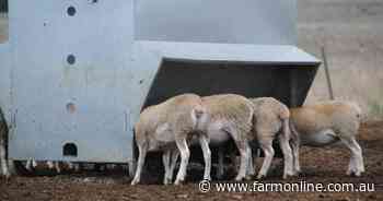 Brazil sheepmeat access doesn't make up for live sheep ban