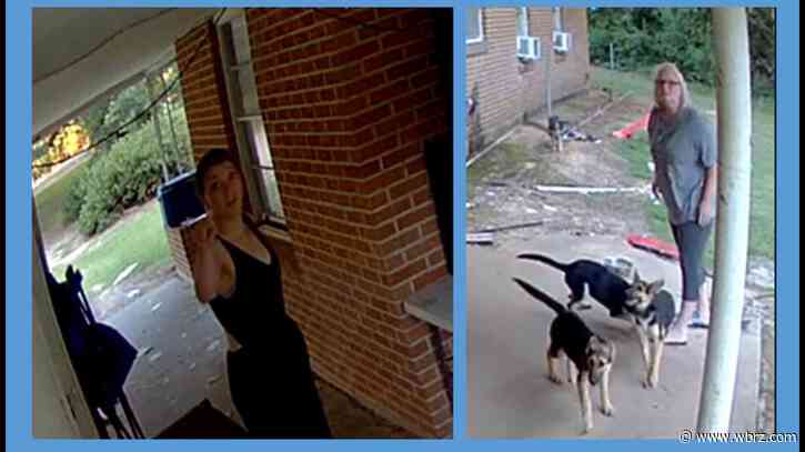 Deputies looking for two women caught on camera stealing puppies from Loranger home