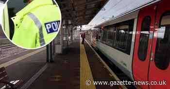 Train passenger fined for abusing ticket inspector