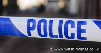 Woman arrested after incident in village near Devizes
