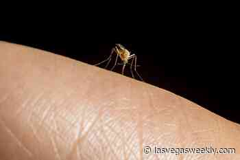 Increased mosquito activity in Southern Nevada means higher risk of illness