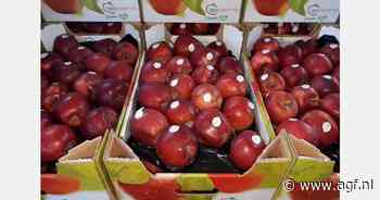 Onzekerheid bij Poolse appelexporteurs door stijgende gas- en elektraprijzen