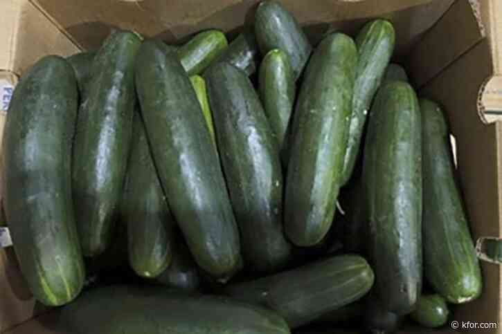 Florida canal water tied to salmonella outbreak in cucumbers