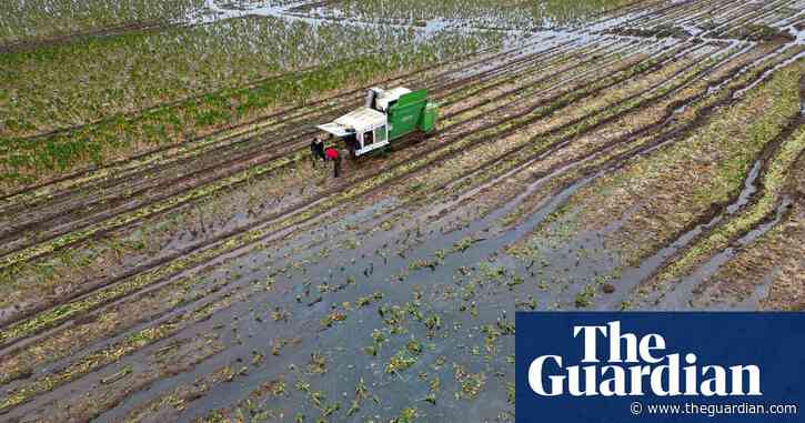 Disastrous fruit and vegetable crops must be ‘wake-up call’ for UK, say farmers