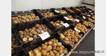 Verse robuuste aardappelen proeven op de BioVelddag 2024