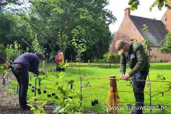 Hoevetuin aan Hoeve Dieseghem kan groeien: “Het wordt naast een ecologische tuin een plek van troost, steun en bezinning”