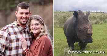 Newlyweds traumatised on wedding night after rhino drowns in lake outside hotel