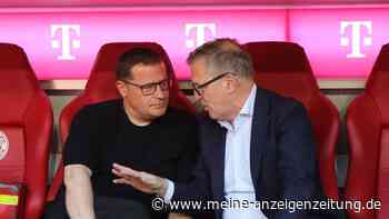 Millionen-Transfers beim FC Bayern? So prall gefüllt ist Eberls Geldbeutel