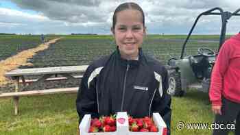 Wet June spurs bountiful berries, flooded fields and diluted sewage flowing into Winnipeg waterways