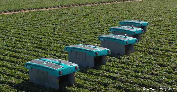 Alphabet is abandoning its Mineral robo-agriculture startup