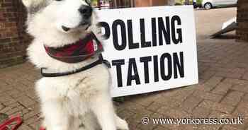 York General Election 2024: Dogs at Polling Stations