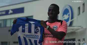 Brighton make 'unbelievable' Yankuba Minteh claim after Newcastle's £33m transfer rush