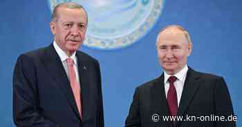 Zwischen Nato und Putin: Erdogans Drahtseilakt