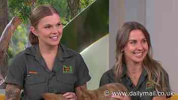 The new Irwins? The two stunning Australian Reptile Park zookeepers set to give Bindi and Terri a run for their money as they appear on Sunrise with sweet dingo pups