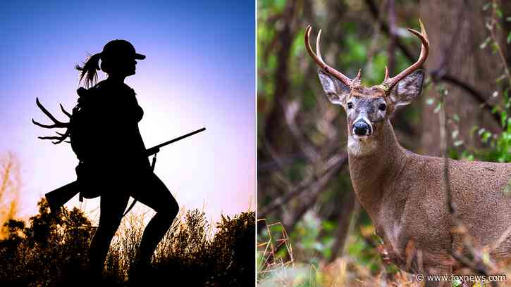Michigan officials propose new hunting regulations as residents grapple with deer overpopulation